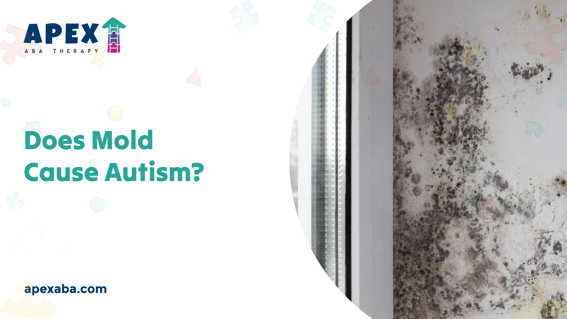 Does Mold Cause Autism?